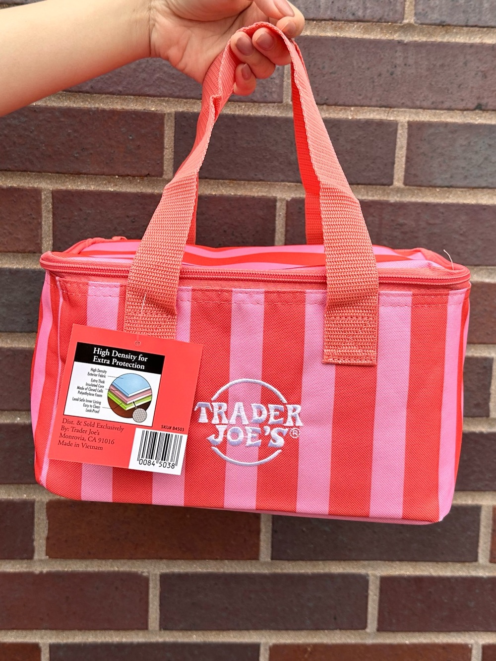 trader joe’s mini insulated tote lunch bag
2026 summer collection